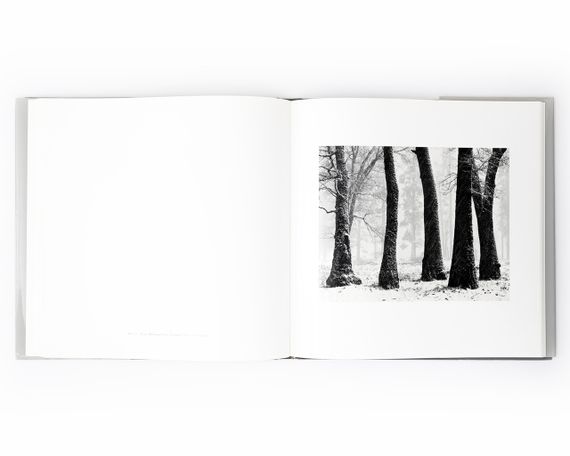 Подарункова книга для фотографів роботи Джона Секстона John Sexton "Recollections" пейзажна фотографія книги | Зображення 7