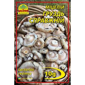 Груздь 10 г