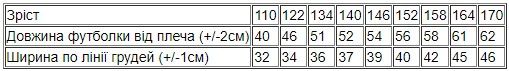 Футболка для хлопчика high-low Носи своє 140 Сірий (p-3731-161990) | Зображення 1