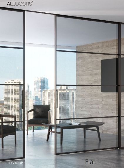 Двері міжкімнатні AluDoors Flat (розсувна) Покраска по RAL