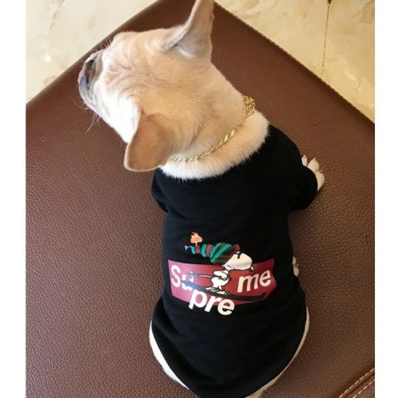 Брендовая толстовка для собак принт Snoopy на лыжах, без капюшона, черного цвета | Зображення 1