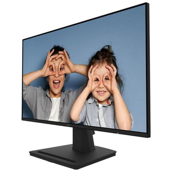 Монітор MSI PRO MP252 | Зображення 2