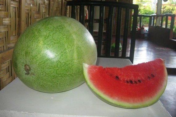 Насіння кавуна Бінго 1 г (Насіння країни) | Зображення 1