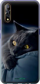 Чохол на Vivo V17 Neo Димчастий кіт "825t-1764-2448"