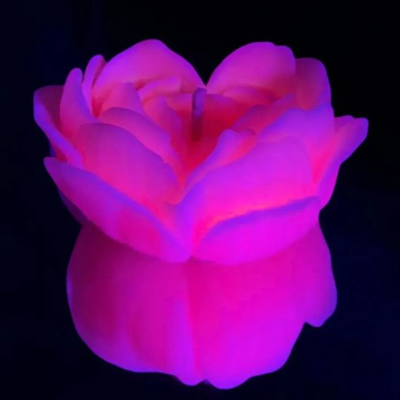 Свічка троянда люмінесцентна GlowKink 62 г, низькотемпературна, L, для БДСМ, персикова Sex Aura | Зображення 5