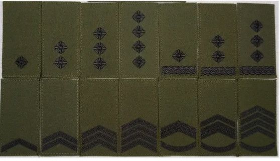 Погон главный штаб-сержант (олива)