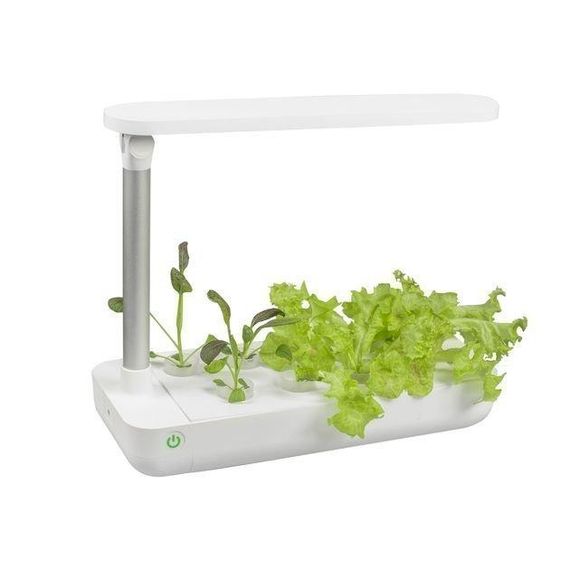 Vegebox™ by BioChef - Table Box - набір садовий для гідропоніки | Зображення 1