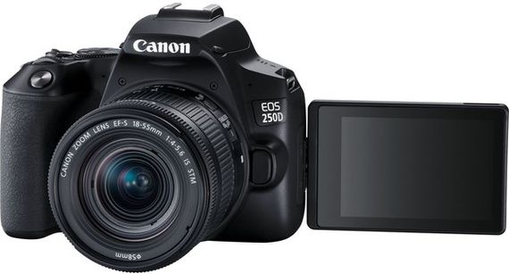 Апарати цифровi CANON EOS 250D BK 18-55 IS CP RUK/SEE (3454C007AA) | Зображення 3