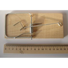 Крисоловка