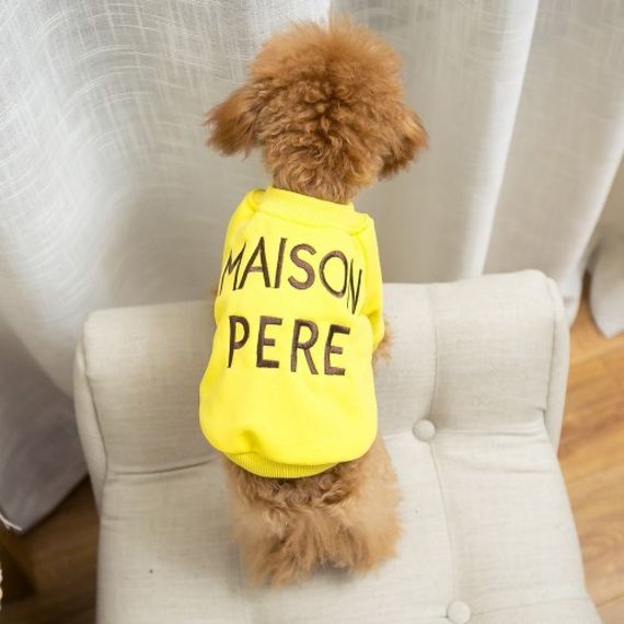 Толстовка Family Look для собак и владельцев с надписью Maison Pere, без капюшона, желтого цвета | Зображення 2