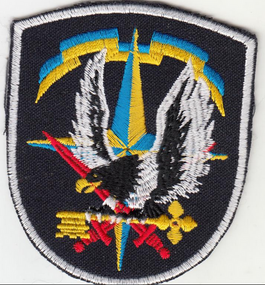 Шеврон разведка управление (редкий)