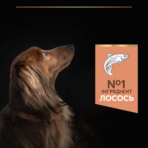 Сухий корм Purina PRO PLAN Small&MiniAdult для дорослих собак дрібних порід із чутливою шкірою, лосось 3кг | Зображення 5