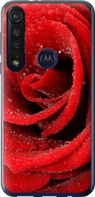 Чехол на Motorola G8 Plus Красная роза "529u-1837-17620"