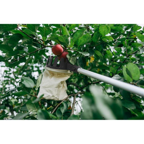 Плодознімач Bradas V-SERIES-P на телескопічному держаку 1,17-3,6 м KT-V1531-360 | Зображення 1