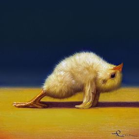 Йога курочка планка в верх ©Lucia Heffernan