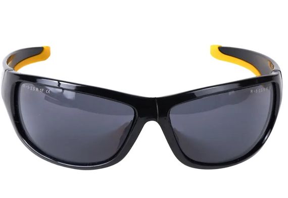 Окуляри DeWalt Dominator (DPG94-2D) | Зображення 3