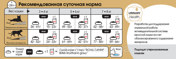 Сухий корм для котів Royal Canin British Shorthair 400 г 2557004 | Зображення 1