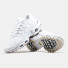 Чоловічі кросівки Air Max TN Plus весна / літо / осінь 1338
