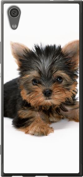 Чехол на Sony Xperia XA1 G3112 Щенок йоркширского терьера "931u-964-17620"