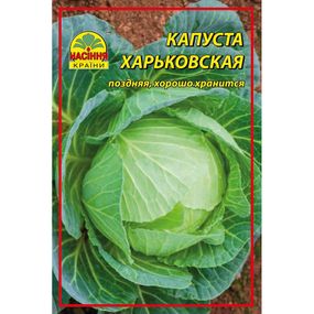 Насіння капусти Харківська 10 г (Насіння країни)