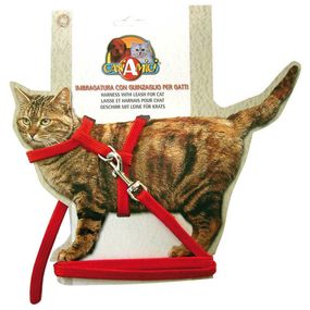 Шлея з повідком для кота нейлон Croci NYLON GATTO 19-31*0,8 см/120*0,8 см