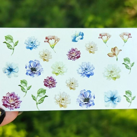 Слайдер F-15 на водяній основі (5x8см)