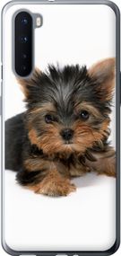 Чехол на OnePlus Nord Щенок йоркширского терьера "931u-2046-17620"