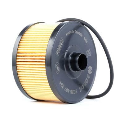 Фильтр масляный Bosch F026407231