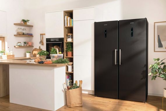Холодильная камера Gorenje R619EABK6 | Зображення 2