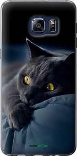 Чохол на Samsung Galaxy S6 Edge Plus G928 Димчастий кіт "825u-189-2448"