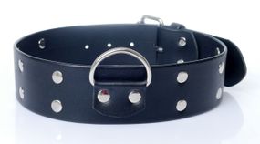 Нашийник зі штучної шкіри з шипами Fetish Boss Series - Collar with studs, BS3300098 Sex Aura