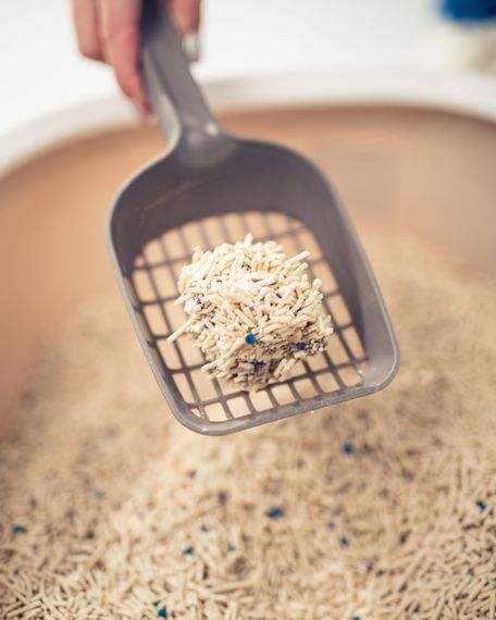 Растительный наполнитель для кошачьего туалета с бентонитом Velvet Paw Tofu Original, 6 л | Зображення 4