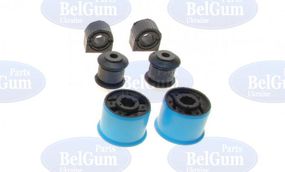 Комплект передней подвески VW Caddy Passat 05- 4 сайлент.рычаг 2 втулки стаб. d=22mm  BGKIT-7