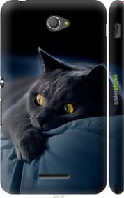 Чохол на Sony Xperia E4 Dual E2115 Димчастий кіт "825m-87-2448"