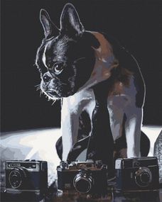 Картина по номерам. Art Craft "Стінковий фотограф" 40х50 см 11642-AC