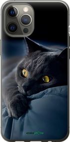 Чохол на iPhone 12 Pro Max Димчастий кіт "825t-2054-2448"