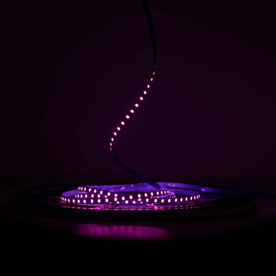 Світлодіодна LED стрічка PROLUM™ 24V IP20 2835\120 6ММ S-TYPE Series "S" Рожевий | Зображення 1
