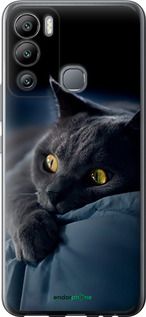 Чохол на Infinix Hot 12i Димчастий кіт "825u-2863-2448"