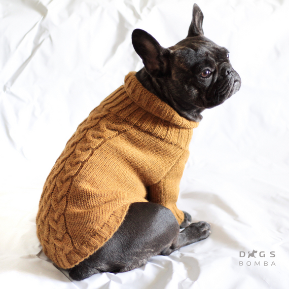 Светр в'язаний Косичка гірчиця Y-227 | Зображення 2