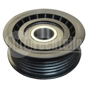 Ролик обводной Mercedes Benz Sprinter CDI, AutoTechteile, 100 2009, 2009