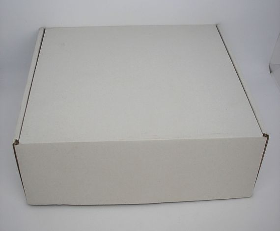 Антенна для интернета панельная ASPOR MIMO 18 ДБi (1700-2700 МГц 3G, 4G (LTE), 4.5G (LTE-Advanced Pro) | Зображення 2