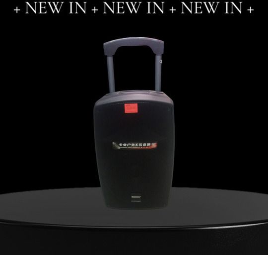 Динамік Temeisheng SL 12-32 з двома мікрофонами 12″ 150 Вт XPRO (45717-12-32_9034)