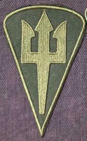 Шеврон Тризуб Морская пехота (олива)