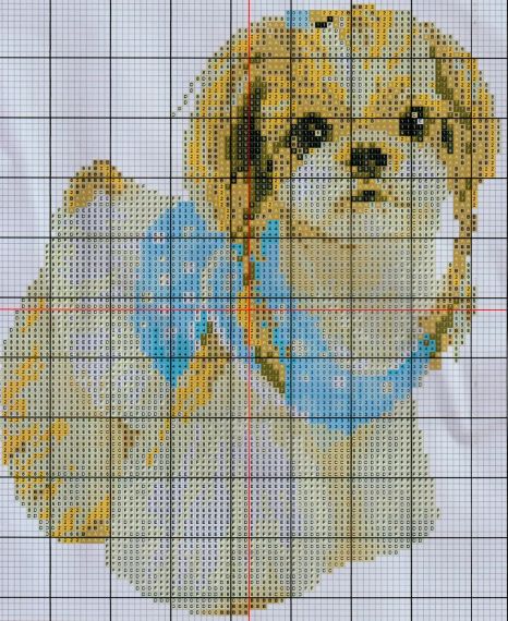 Набор для вышивания по нанесённой на канву схеме "Lady Dog(2). AIDA 14CT printed 20*26см | Зображення 2