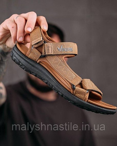 Мужские сандали Vegas tristi  brown ДЛ7346 | Зображення 1