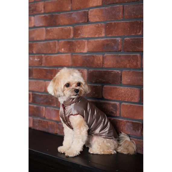 Жилет Pet Fashion Hardy для собак утеплений водонепроникний з отвором для повідця бежевий розмір XL | Зображення 7