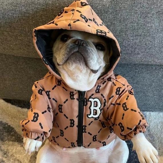 Брендовая зимняя куртка для собак BURBERRY с капюшоном, на змейке, коричневая | Зображення 5
