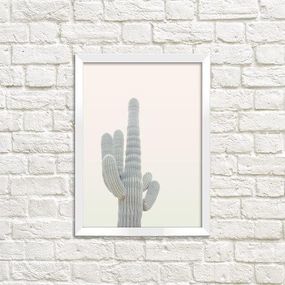 Постер в рамке Кактуси 30x42 см, A3 (WMT3_ART048_WH)