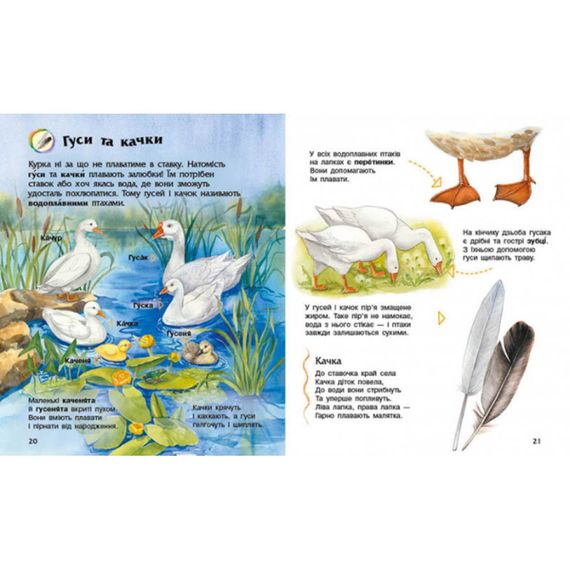 Энциклопедия дошкольника Домашние животные 614029 для самых маленьких | Зображення 2