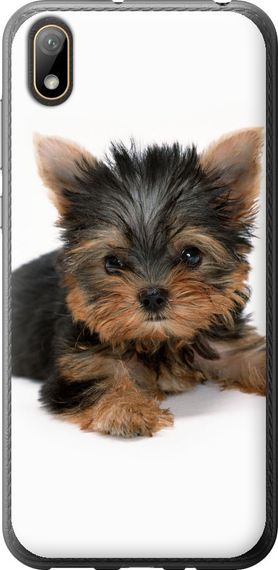 Чехол на Huawei Y5 2019 Щенок йоркширского терьера "931u-1695-17620"